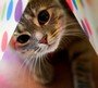 что делать если ты уродка. Смотреть фото что делать если ты уродка. Смотреть картинку что делать если ты уродка. Картинка про что делать если ты уродка. Фото что делать если ты уродка